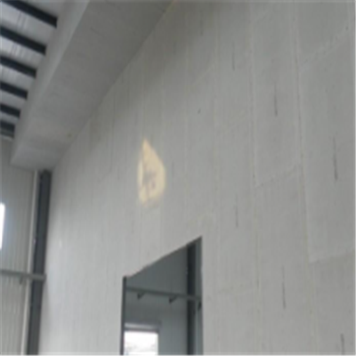 兴海宁波ALC板|EPS加气板隔墙与混凝土整浇联接的实验研讨